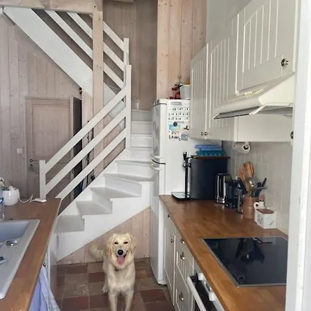 Βίλα Maison De Chai Martin De Re *